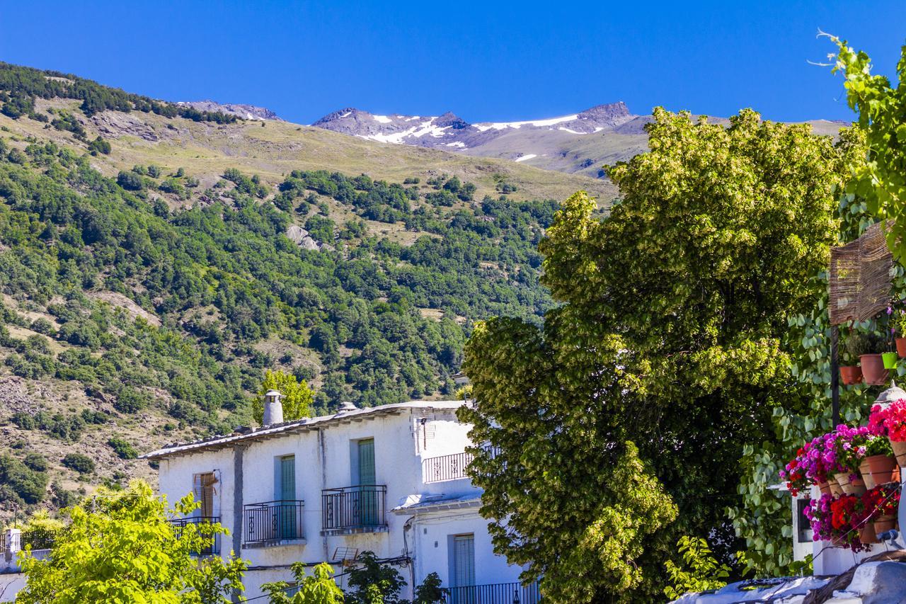 Hotel Rural Real De Poqueira Capileira Dış mekan fotoğraf